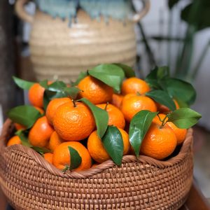 orange fruits on brown woven basket